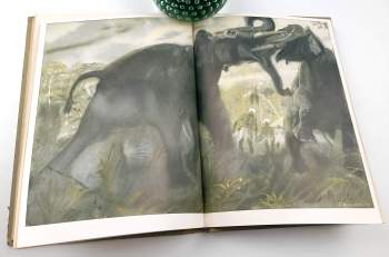 Dhan Gopal Mukerji: Za Kárím v indické džungli