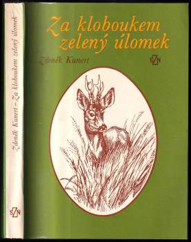 Za kloboukem zelený úlomek