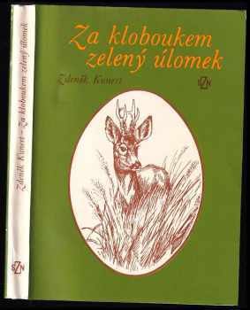 Za kloboukem zelený úlomek