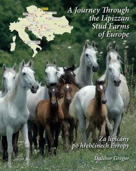A journey through the Lipizzan stud farms of Europe
