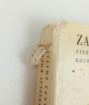 Vítězslav Kocourek: Za pohádkou kolem světa