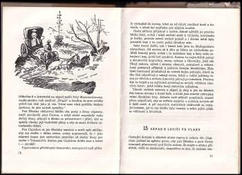 František Flos: Za pokladem