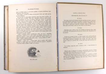 Enrique Stanko Vráz: Za poklady El Dorada