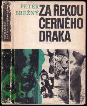Za řekou Černého draka