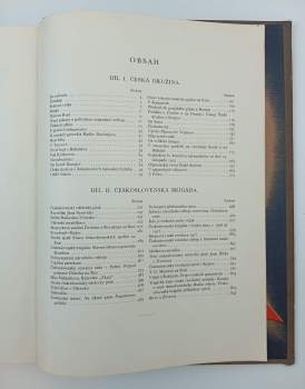Za svobodu : obrázková kronika československého revolučního hnutí na Rusi 1914-1920 - [Kniha 1]