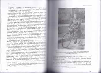 Za svojí ideou, za svým cílem (1939-1989)
