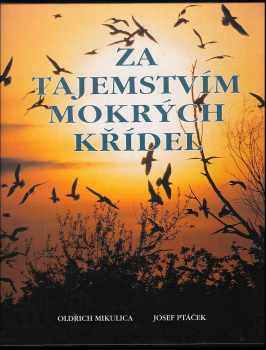 Oldřich Mikulica: Za tajemstvím mokrých křídel