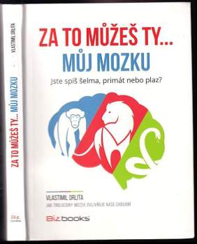 Za to můžeš ty-- můj mozku!