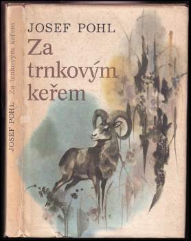 Josef Pohl: Za trnkovým keřem