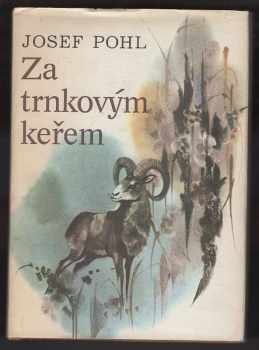 Za trnkovým keřem