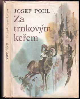 Josef Pohl: Za trnkovým keřem