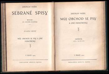 Jaroslav Hašek: Za války i za Sovětů v Rusku