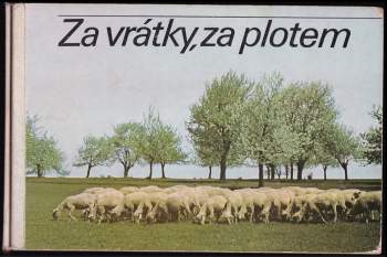 Za vrátky, za plotem