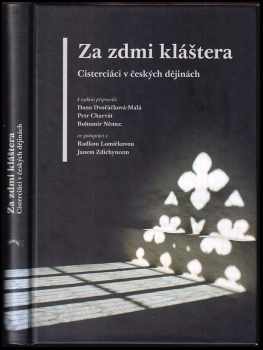 Za zdmi kláštera