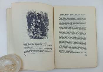 Lewis Carroll: Alenčina dobrodružství - Za zrcadlem a co tam Alenka našla