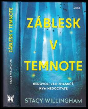 Stacy Willingham: Záblesk v temnote