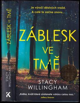 Stacy Willingham: Záblesk ve tmě