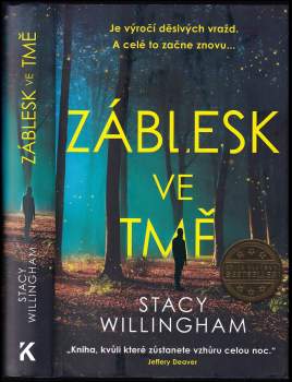 Stacy Willingham: Záblesk ve tmě