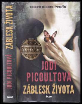 Jodi Picoult: Záblesk života