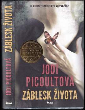 Jodi Picoult: Záblesk života