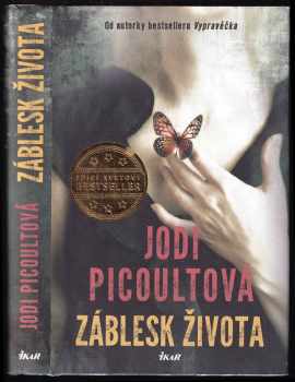 Jodi Picoult: Záblesk života