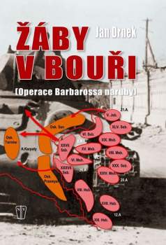 Žáby v bouři