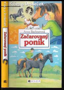 Začarovaný poník