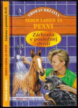 Záchrana v poslednej chvíli