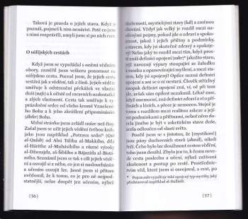 Abú Hámid Muhammad Ibn Ahmad <<al->>Ghazzálí: Zachránce bloudícího