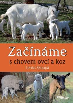 Začínáme s chovem ovcí a koz