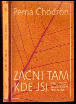 Pema Čhödrön: Začni tam, kde jsi : průvodce soucitným životem