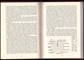 Rudolf Steiner: Záhada člověka