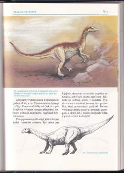 Jaroslav Mareš: Záhada dinosaurů