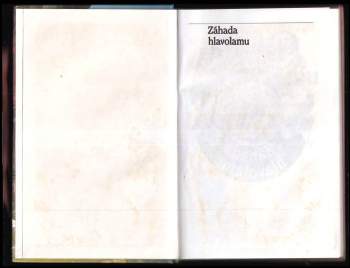 Jaroslav Foglar: Záhada hlavolamu