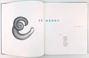 Petr Nikl: Záhádky