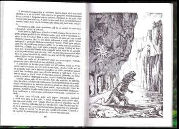 J. M Troska: Záhadný ostrov