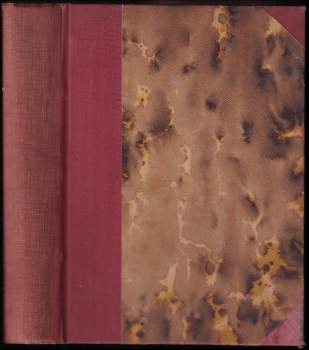 Honoré de Balzac: Záhadný případ