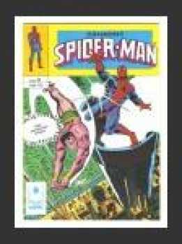 Záhadný Spider-man