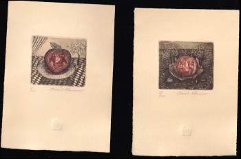 Sylva Daníčková: Zahrada