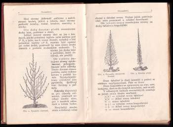Ondřej Pisch: Zahradní hospodářství