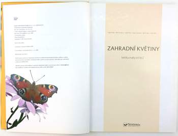 Árpád Nagy: Zahradní květiny