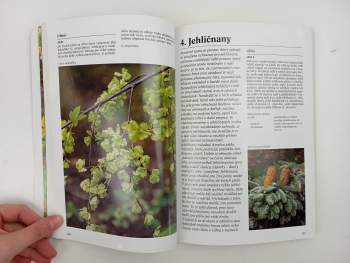 Klaas T Noordhuis: Zahradní rostliny