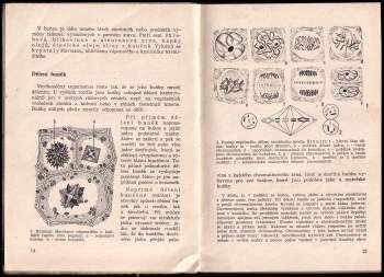 Anna Horynová: Zahradnická botanika