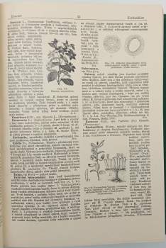 Zahradnický a ovocnicko-vinařský slovník naučný - KOMPLET - Díl I, A-D. + Díl 2, - E-M + Díl III, N-Ž. a dodatky