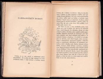 Karel Čapek: Zahradníkův rok - 1. VYDÁNÍ