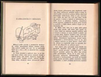 Karel Čapek: Zahradníkův rok