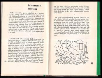 Karel Čapek: Zahradníkův rok