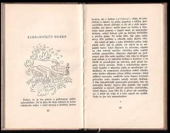 Karel Čapek: Zahradníkův rok