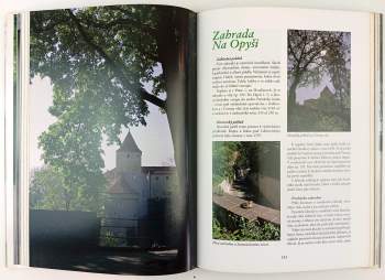 Jan Žáček: Zahrady u Pražského hradu