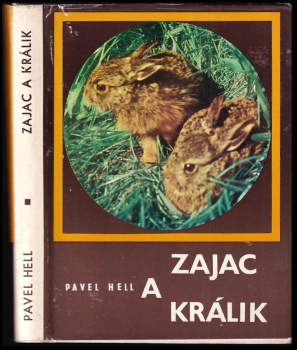 Zajac a králik